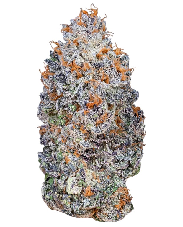 Gelanade (1) gelonade strain